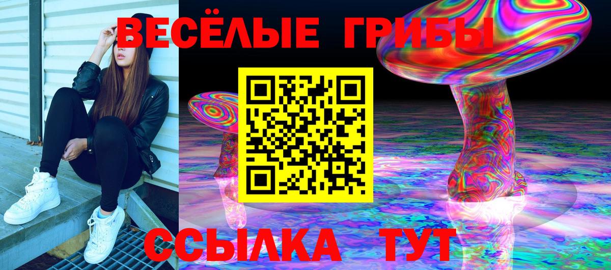Псилоцибиновые грибы Cubensis Электросталь